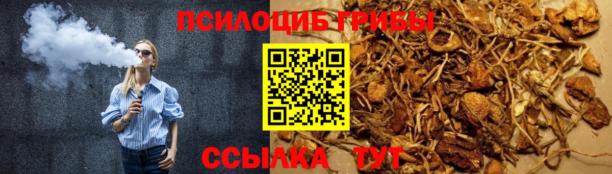 Октябрьский  Галлюциногенные грибы Psilocybine cubensis  Вход с VPN 