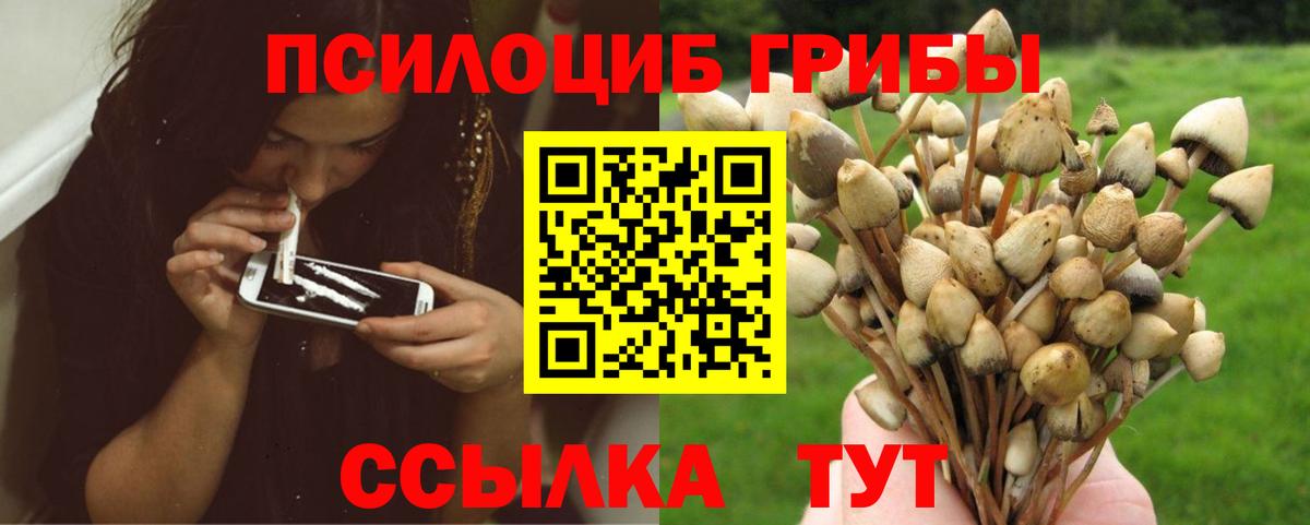 Галлюциногенные грибы ЛСД Октябрьский